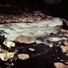The Inca Trail