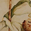 Leek onions