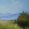 Cascade Meadow