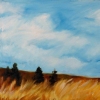  Windy Palouse