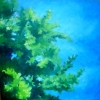 blue skies