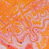 embossed colograph