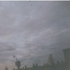 birds and noise.