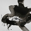 "Symbolink no.3"