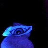 "Eye See You See Me" view 2
installation and performance