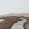 Long Pond Path