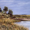 Chappaquiddick Cove