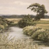 Trout Run