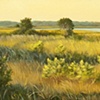 Chappaquiddick Fall 2
