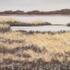 Winter Marsh