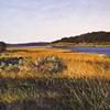 Chappaquiddick Fall 1