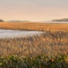 Low Country Marsh