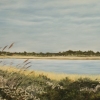 Fall Colors Over Chappaquiddick