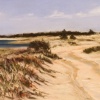 Road to the Narrows