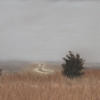 Long Point