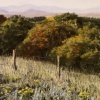 September Bluff