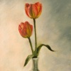 Tulips In Celadon