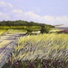 Road to Cape Poge