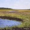 Kiawah Marsh