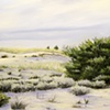 Behind the Dunes