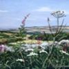 Summer In The Cotswolds