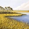 Kiawah Marsh