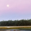 Moon Over The Bohicket