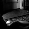 Noir #23