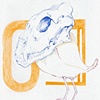 Bird Skull