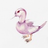 Clone (duck)