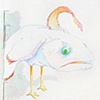 fish come from birds