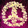 The New Peace