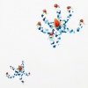 Illuminated Berries (Starfish)