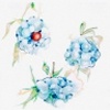 A Cherry Amongst Grapes