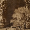 EDWARD S. CURTIS
The Canon Walls  Havasupai

From: The North American Indian, Volume 2

1903

