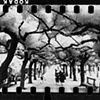 JIRI LEHOVEC
Park s Tomarisky 
San Sebastian  Spanelsko
(Park with Tomarisky)

1933 / printed 1990

