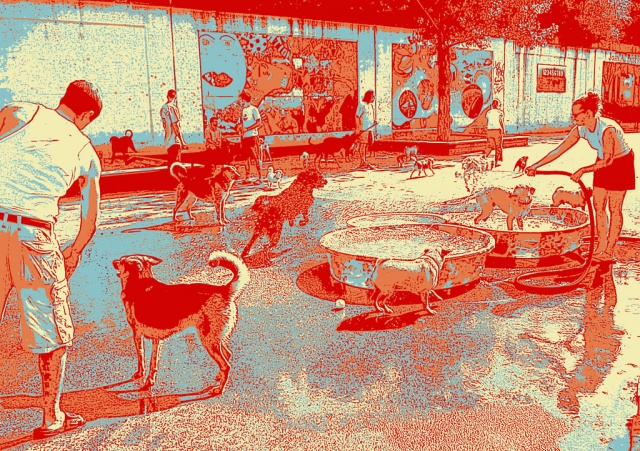 Dog Days of Bucktown