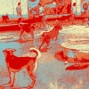 Dog Days of Bucktown