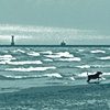 Montrose-green