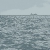 Distant Storm