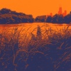 North Pond