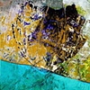 TRANSPOSITION 