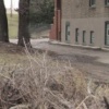 debris