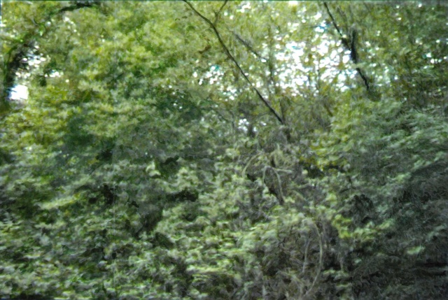 greenbelt ecosystem