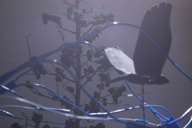 dream of flight at night