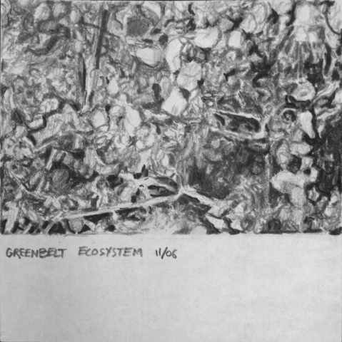 greenbelt ecosystem 11/06