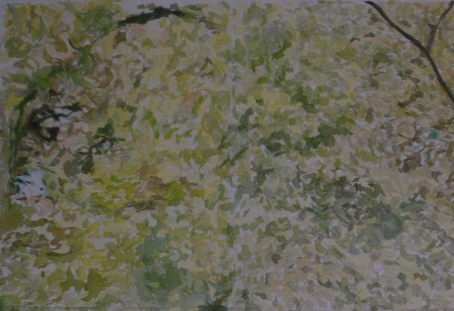 greenbelt ecosystem detail