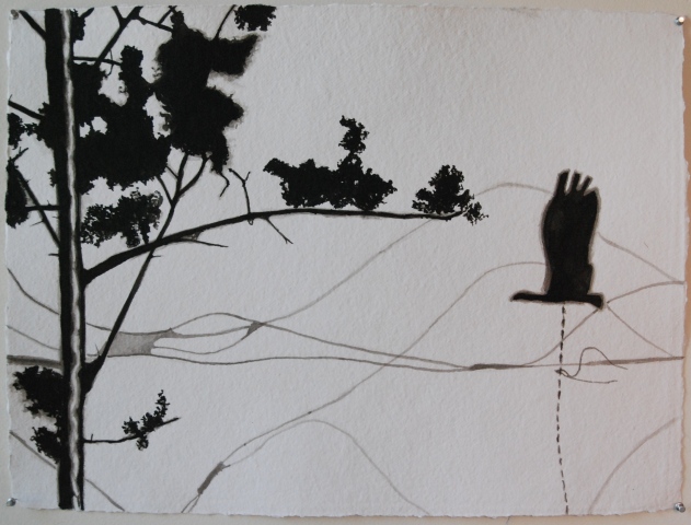 dream of flight ink on paper 22.5x30