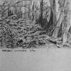 greenbelt ecosystem 7/06