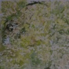 greenbelt ecosystem detail